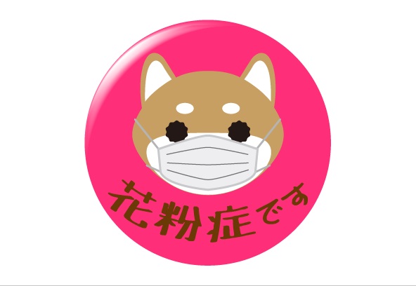 花粉症缶バッジ_柴犬デザインの画像