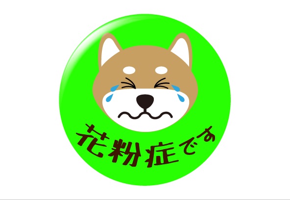 柴犬デザイン_花粉症缶バッジの画像